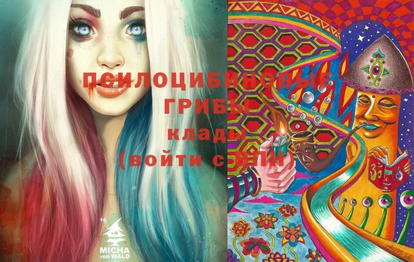 МДПВ Алексин