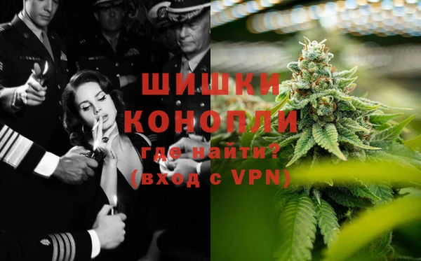 МДПВ Алексин
