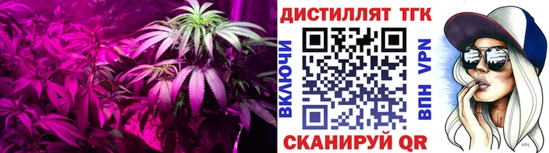 Дистиллят ТГК вейп с тгк  магазин  наркотиков  Алушта 
