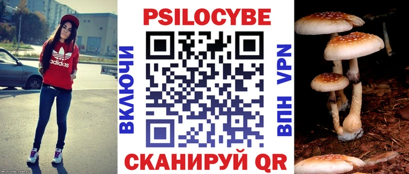 наркошоп  блэк спрут сайт  Псилоцибиновые грибы GOLDEN TEACHER  Алушта 